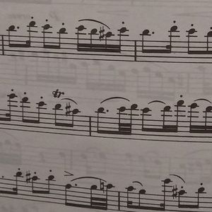 Meet your Posher, Angelina